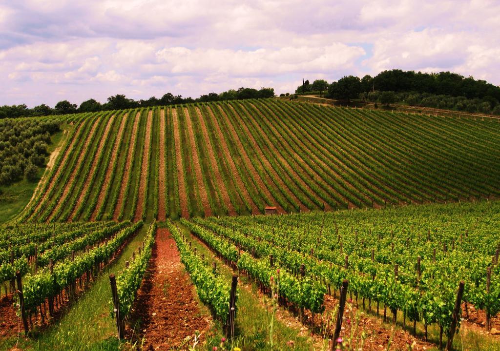 B&B Grano E Lavanda Greve in Chianti Ngoại thất bức ảnh